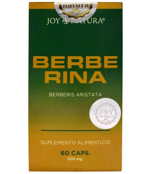 CITRATO DE MAGNESIO 60 CAP JOY NATURA