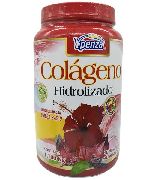 JARABE PULMO MIEL-BRON -DIABETICOS- 240 ML. AJOJENGIBRENECTAR DE GRUPO OMEGA 2000