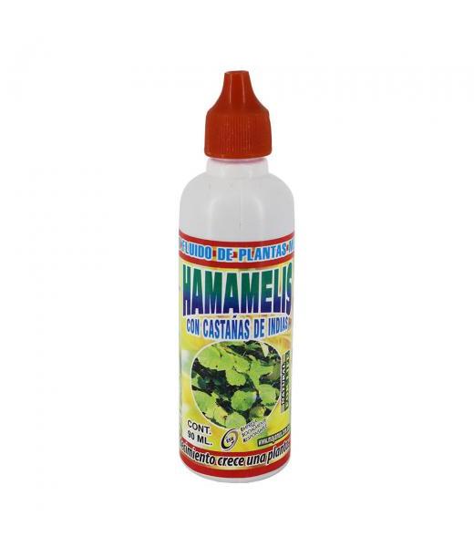 TE DE JENGIBRE MANGO DOBLETT