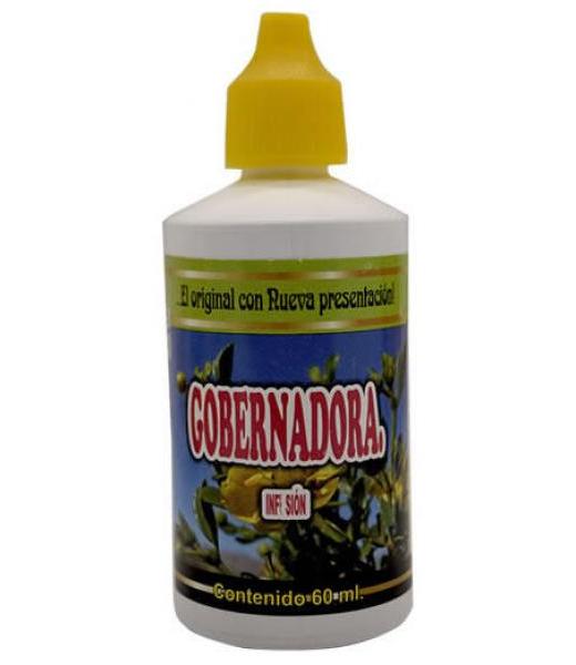 TE DE JENGIBRE MANGO DOBLETT