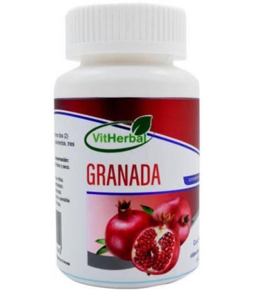 CAPLETAS I.Q. MEMORY C 100 ACIDO GLUTAMICO GINKGO BILOBAGUARANAGI NATURES P.E.T.